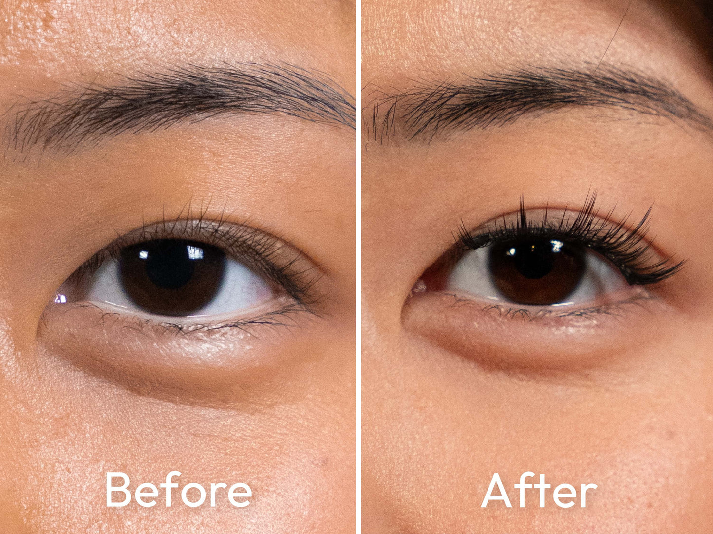Style Sakura Before and After